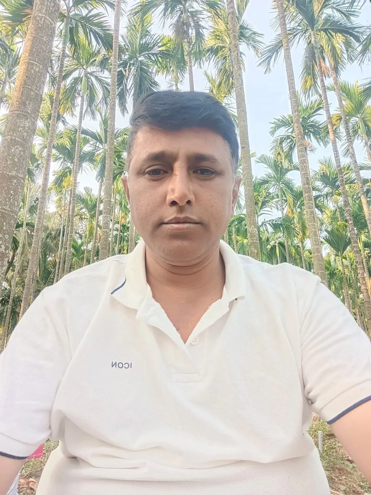 ಮನಸುಳಿ ಮೋಹನ, ತರೀಕೆರೆ